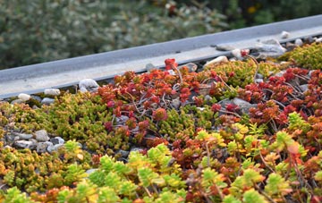 the cost of Charlton St Peter green roof installation